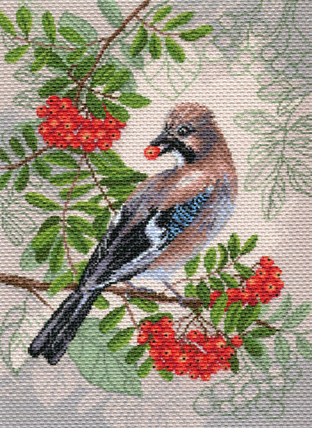 Рисунок на канве МП №1701 "Сойка с рябиной" 37х49см