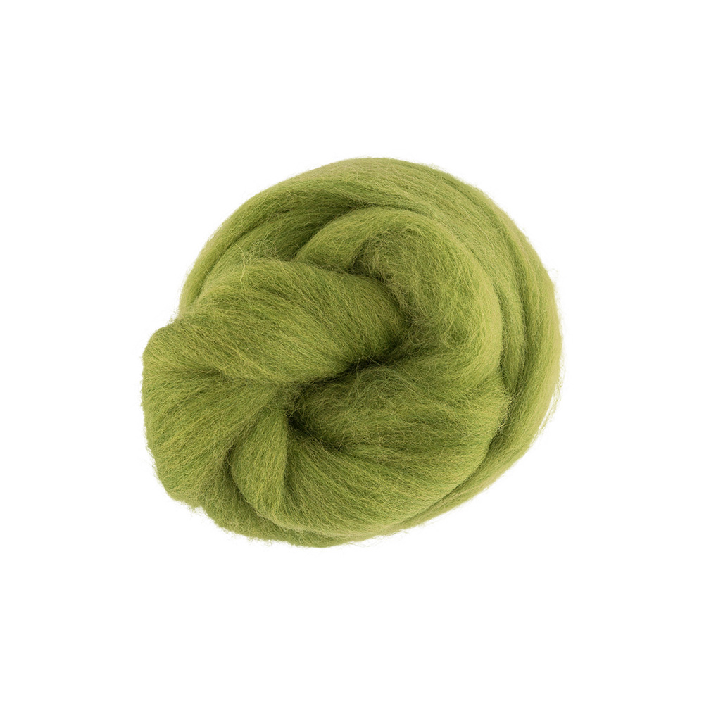 Шерсть для валяния TFS-050 полутонкая (50гр) цв.1551 аспарагус