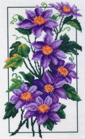 Рисунок на канве МП №744 "Клематисы" 28х37см