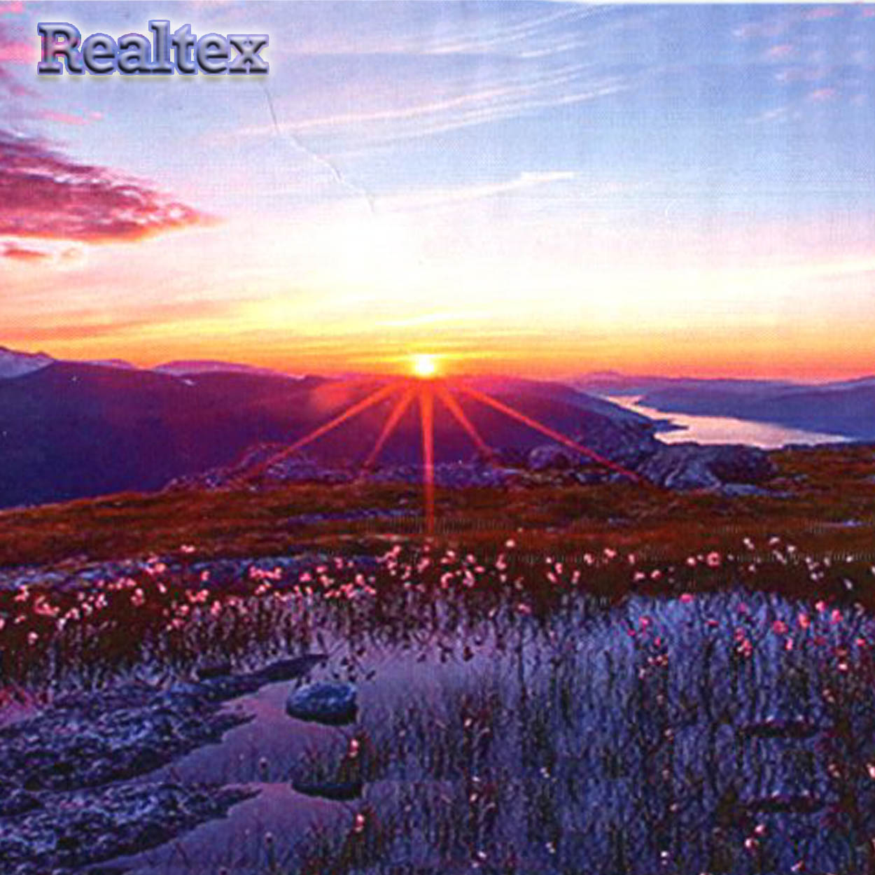 Набор для рукоделия (алмазная техника) Realtex 40*50см GA 77804 (на подрамнике)  