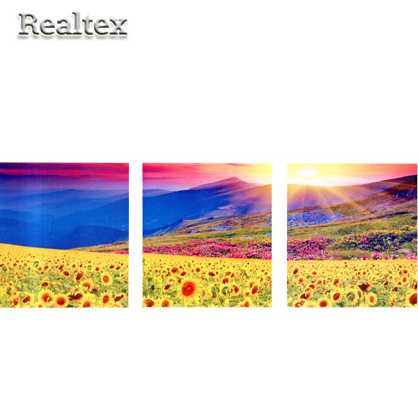 Набор для рукоделия (алмазная техника) Realtex 40*50см*3шт Триптих ND 10033 (на подрамнике)