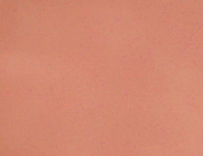 Кожа искусственная DDW-15 цв.26879 коралловый