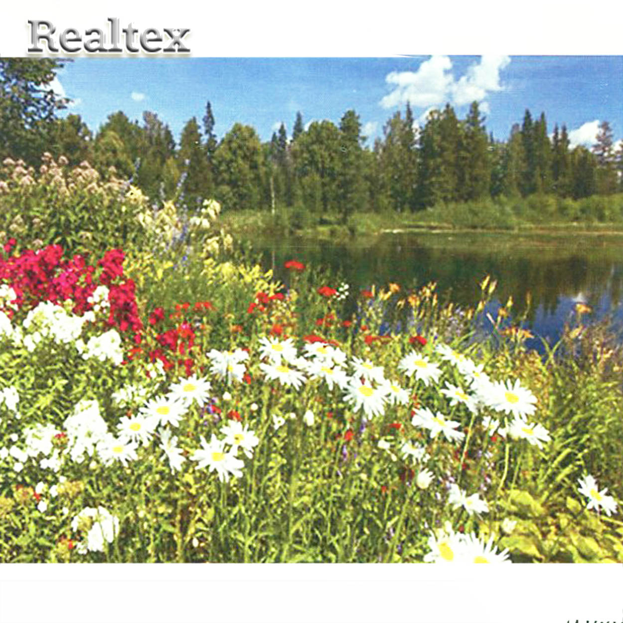 Набор для рукоделия (алмазная техника) Realtex 40*50см YSH 73938 (на подрамнике)  