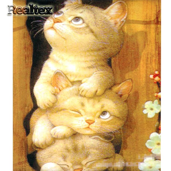 Набор для рукоделия (алмазная техника) Realtex 30*40см GB 70143 (на подрамнике)