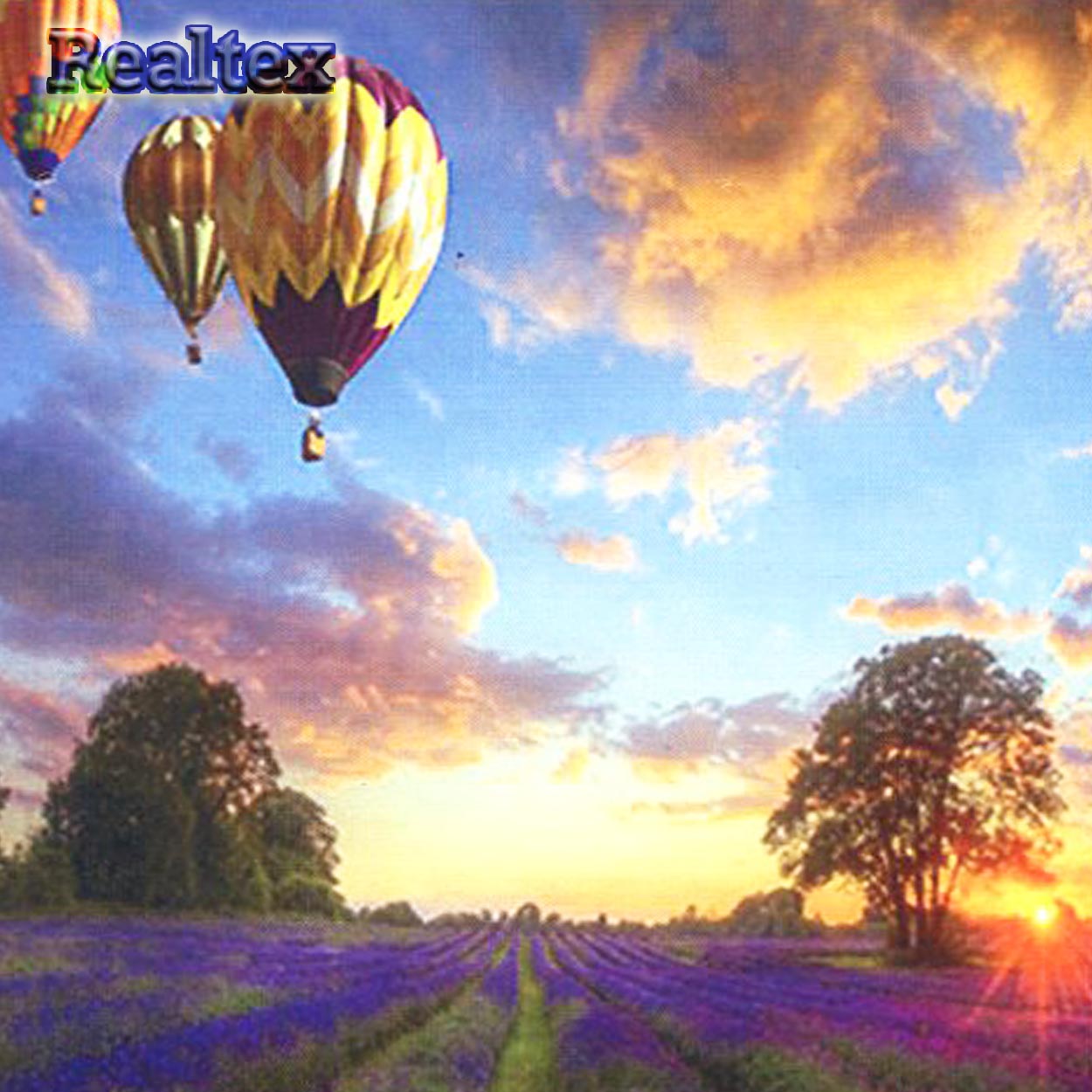 Набор для рукоделия (алмазная техника) Realtex 40*50см GA 77605 (на подрамнике)  