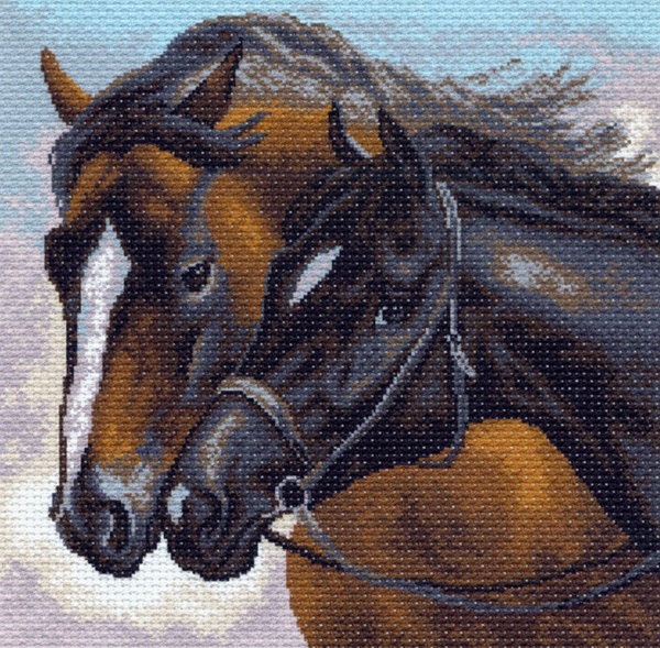 Рисунок на канве МП 41х41 №976 "Стремление"