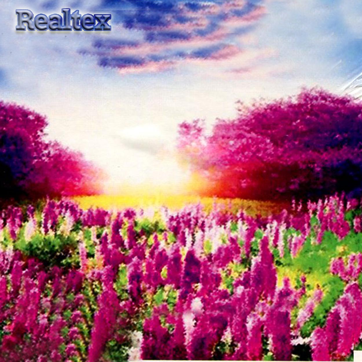 Набор для рукоделия (алмазная техника) Realtex 40*50см YSH 76517 (на подрамнике)  