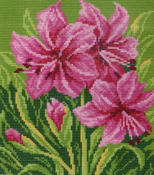 Рисунок на канве МП №700-1 "Амарилис" 28х37см