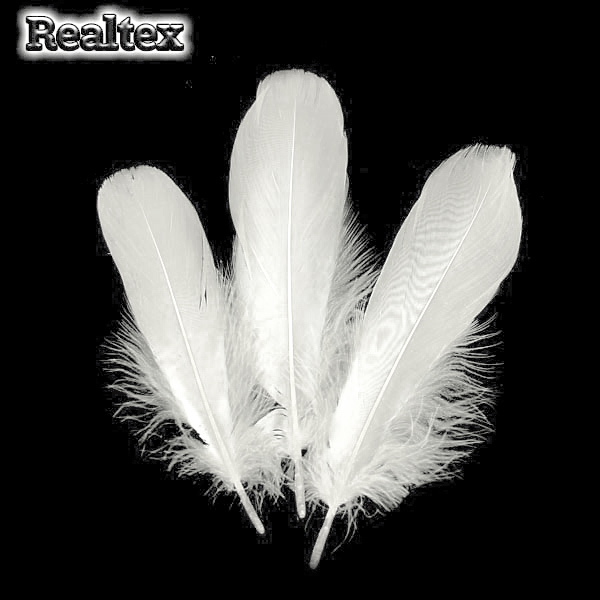 Перо Realtex Гусиное 13-18 см цв.белый