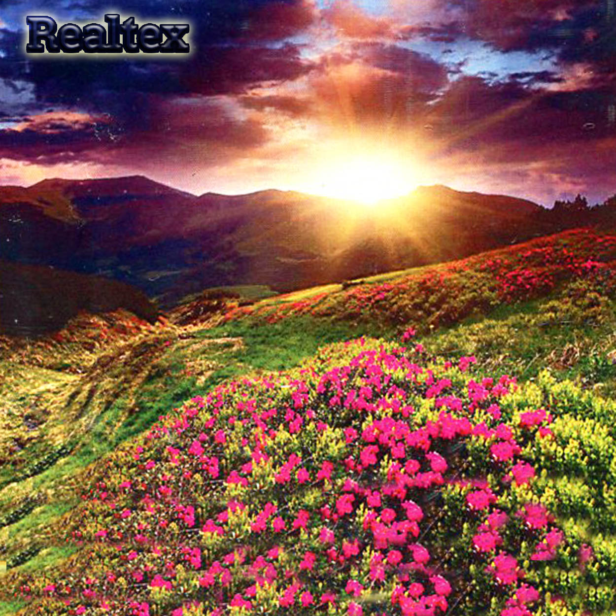 Набор для рукоделия (алмазная техника) Realtex 40*50см GA 74928 (на подрамнике)  