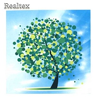 Набор для рукоделия (алмазная техника) Realtex 27*27см MB 1200 (c рамкой)  