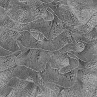 Пряжа "Танго 153" (0,5кг) цв.085 серый