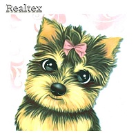 Набор для рукоделия (алмазная техника) Realtex 25*30см MB 1174 (c рамкой)  