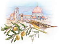 Рисунок на шелке МП №4150 "Под солнцем Тосканы" 37х49см