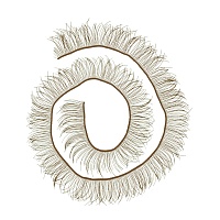 Ресницы для кукол 10мм EYL-3 (20шт) цв.светло-русый