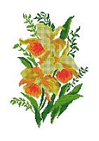 Рисунок на шелке МП №4517 "Нарциссы" 37х49см