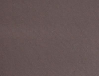 Кожа искусственная DDW-05 цв.26869 светло-коричневый