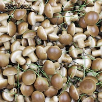 Декоративные Грибы Realtex 21*25мм на проволоке (200шт) 