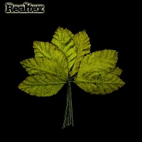  Реалтекс F Лист велюровый на проволоке (4 бук.*10шт) цв.оливковый